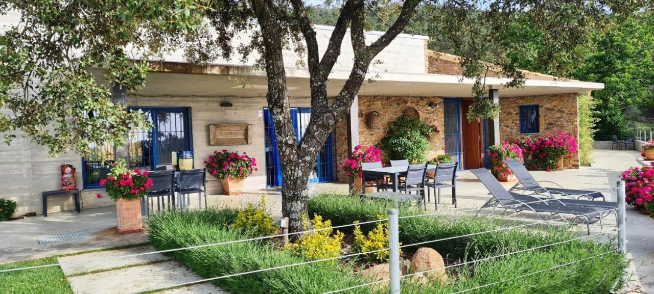 Casa Rural Madre Del Agua. Finca El Robledillo Monesterio Exteriér fotografie